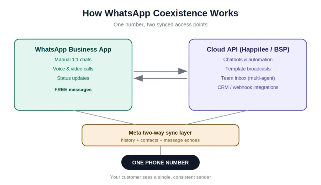 Diagram showing WhatsApp Coexistence syncing the WhatsApp Business App and Cloud API on one phone number